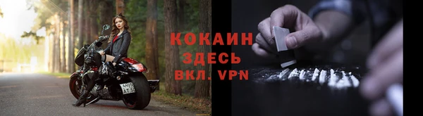 прущая мука Вяземский