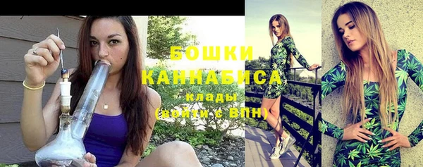 прущая мука Вяземский