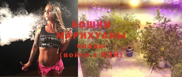 прущая мука Вяземский