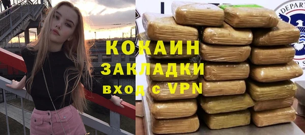 прущая мука Вяземский