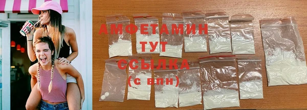 прущая мука Вяземский