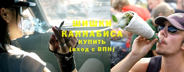 прущая мука Вяземский