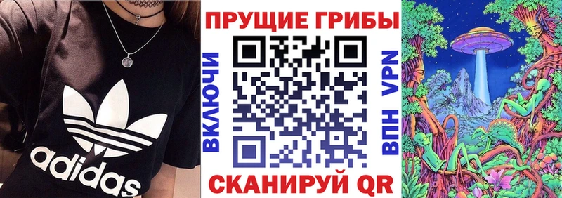 Псилоцибиновые грибы Cubensis  Новая Усмань 